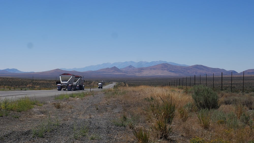 Ninth Circuit orders harder look at lethal predator management in Nevada