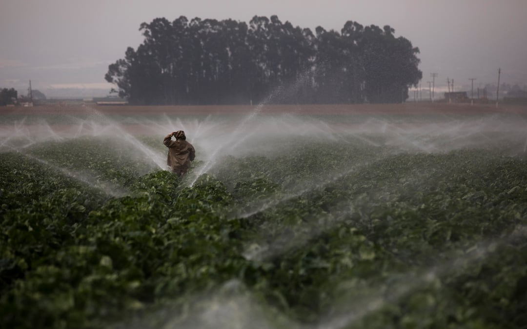 California farmers dealt costly defeat over water usage
