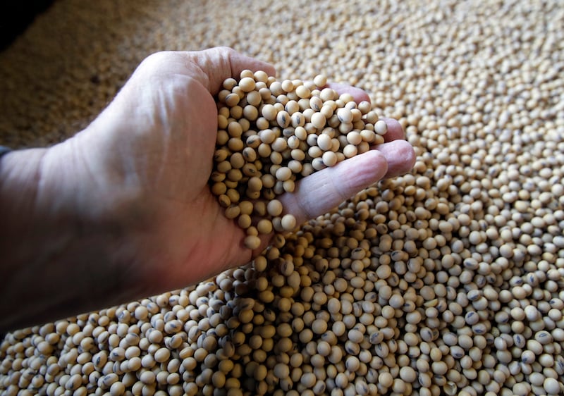 Farm loan recipient disclosure
