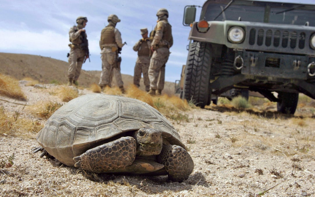 Judge orders feds to close Western Mojave trails for off-road vehicles in desert tortoise habitat