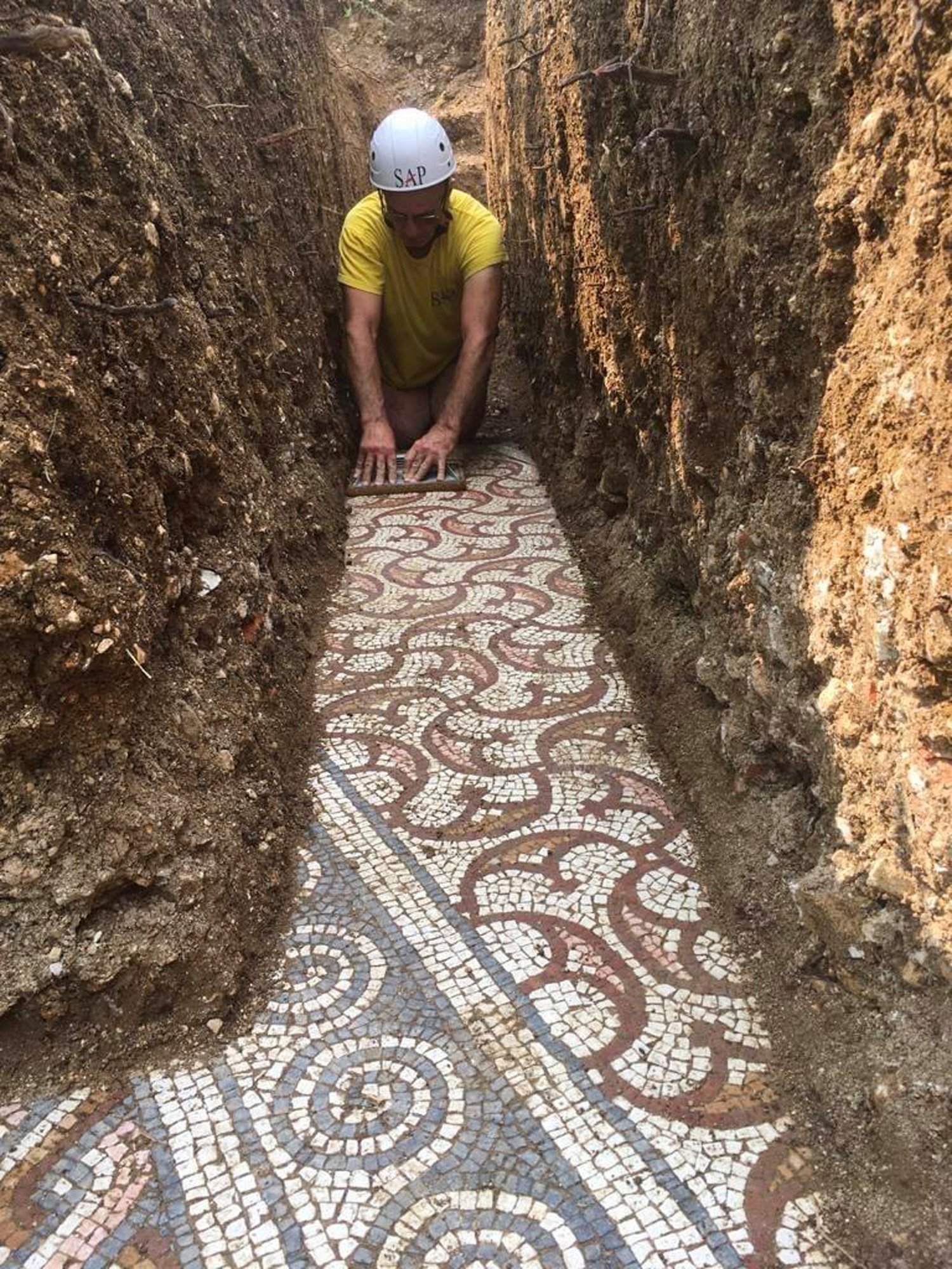 Well-Preserved Roman Mosaic Unearthed in Italian Vineyard | Courthouse News  Service