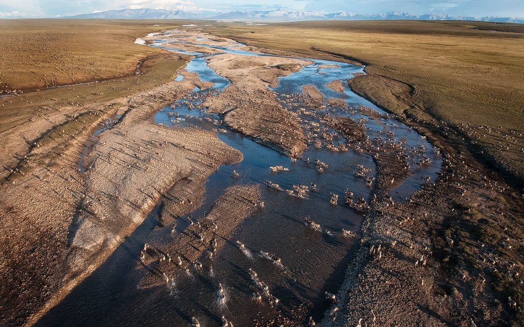 A second oil and gas lease sale for Alaska’s Arctic National Wildlife Refuge draws no bids