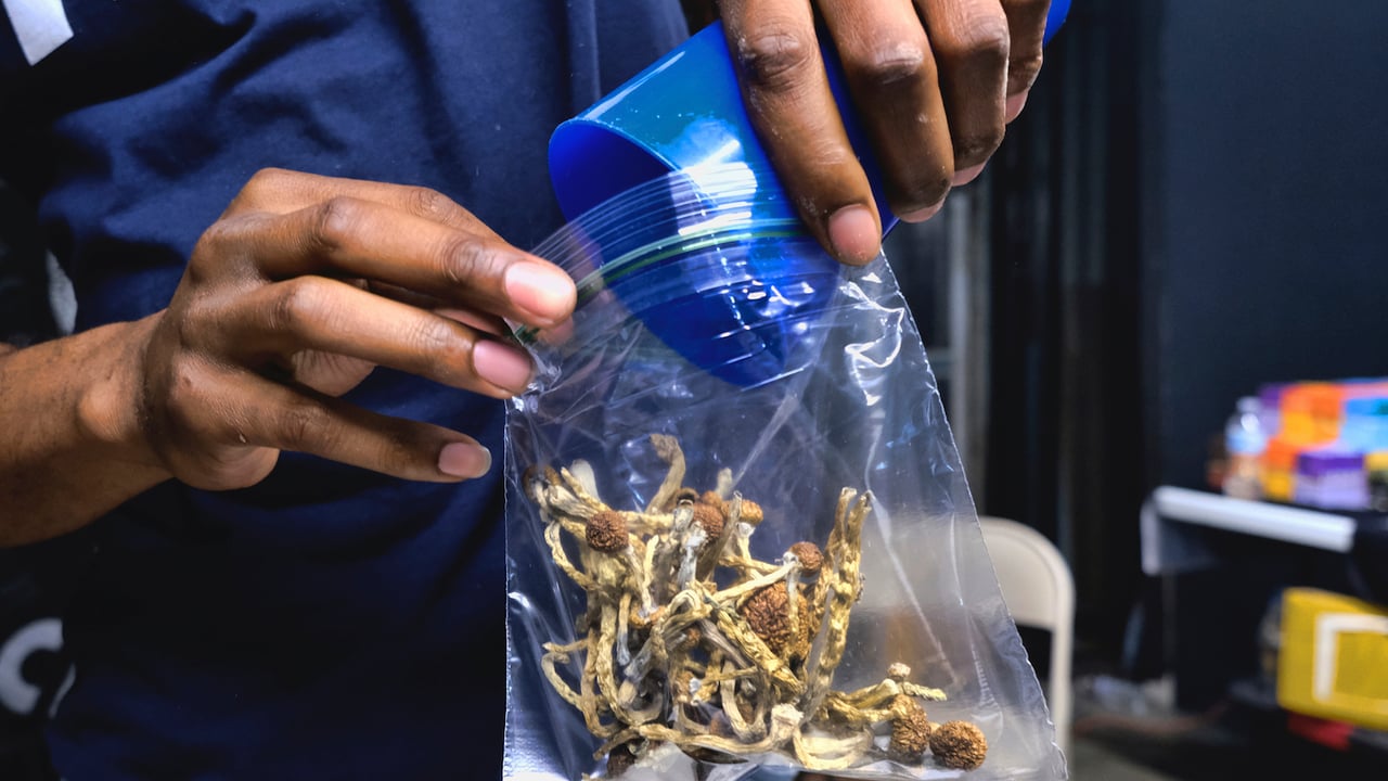 psilocybin