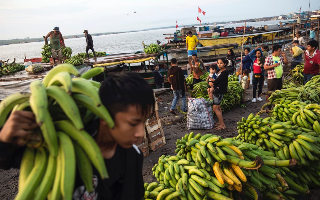 Hawaii court weighs whether banana workers proved pesticide exposure