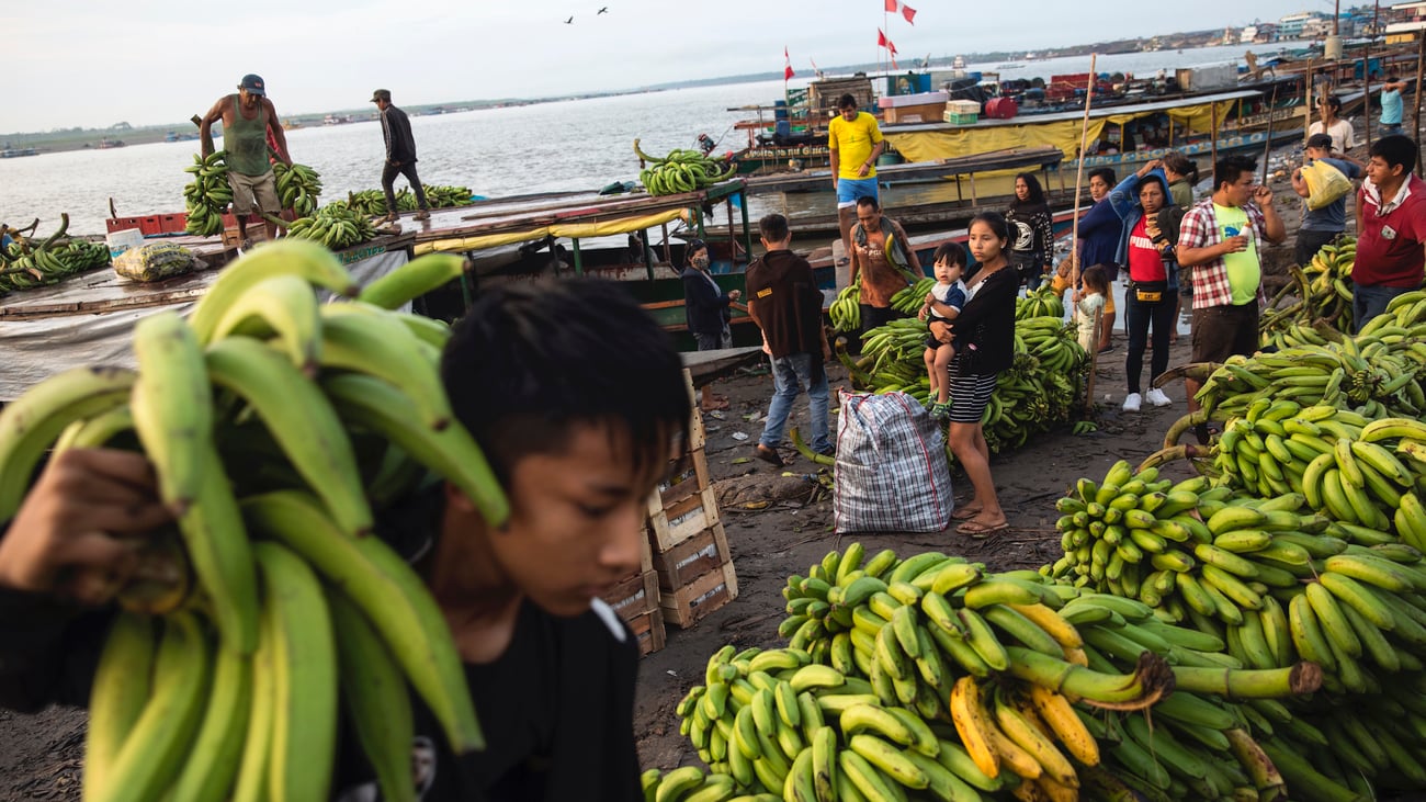 Hawaii court weighs whether banana workers proved pesticide exposure