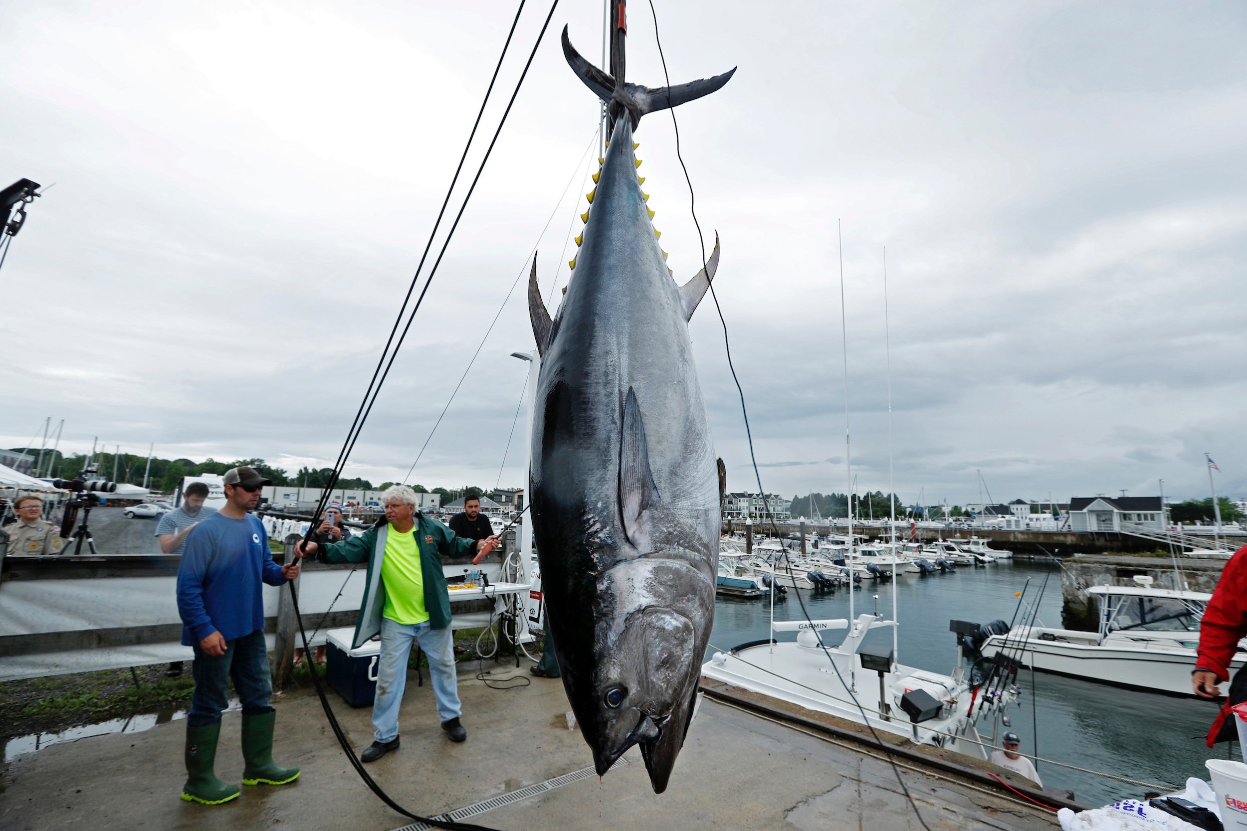 A U.S. judge rules that Subway can be sued over its '100% tuna