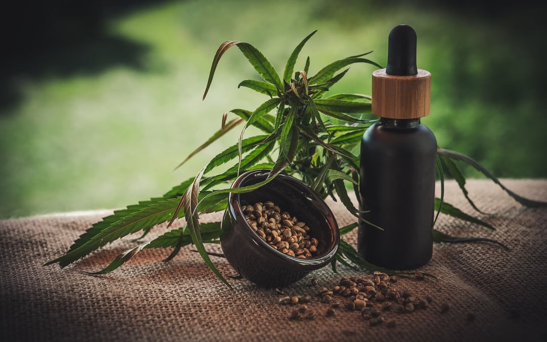 Colorado judge won’t block state pot regulator over black market synthetic THC claims