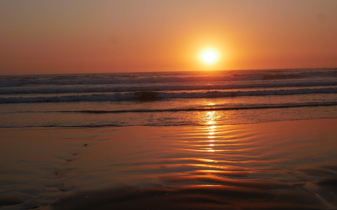 Environmental groups sue California State Parks over plan they say endangers protected wildlife