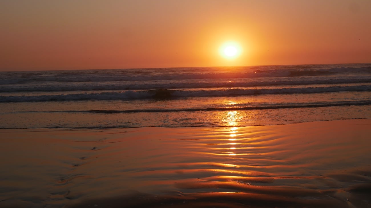 Environmental groups sue California State Parks over plan they say endangers protected wildlife