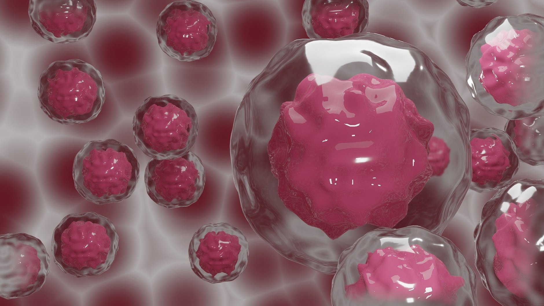 FDA takes bid to regulate ‘liquid magic’ stem cell treatments to Ninth Circuit