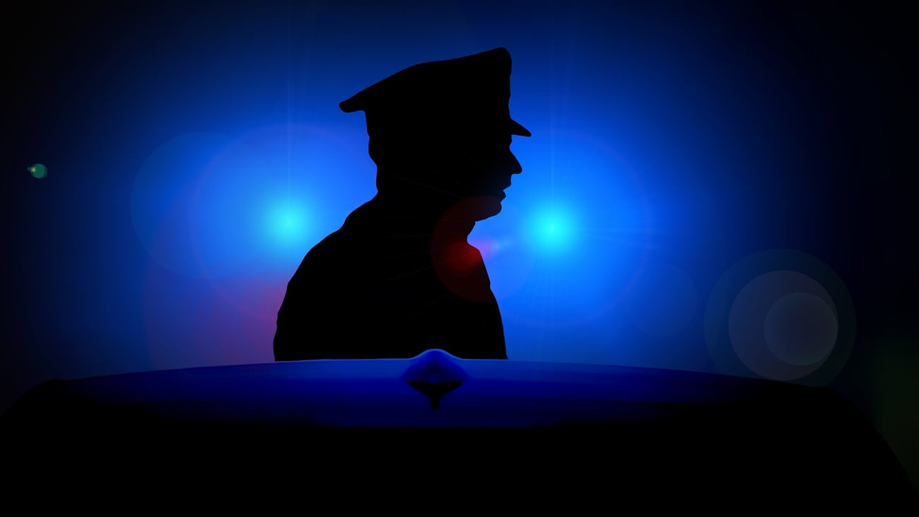 Chief on the hook for excessive force