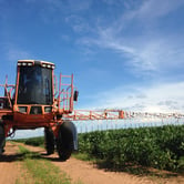 A yellow agricultural sprayer on a dirt road with crops on the side.