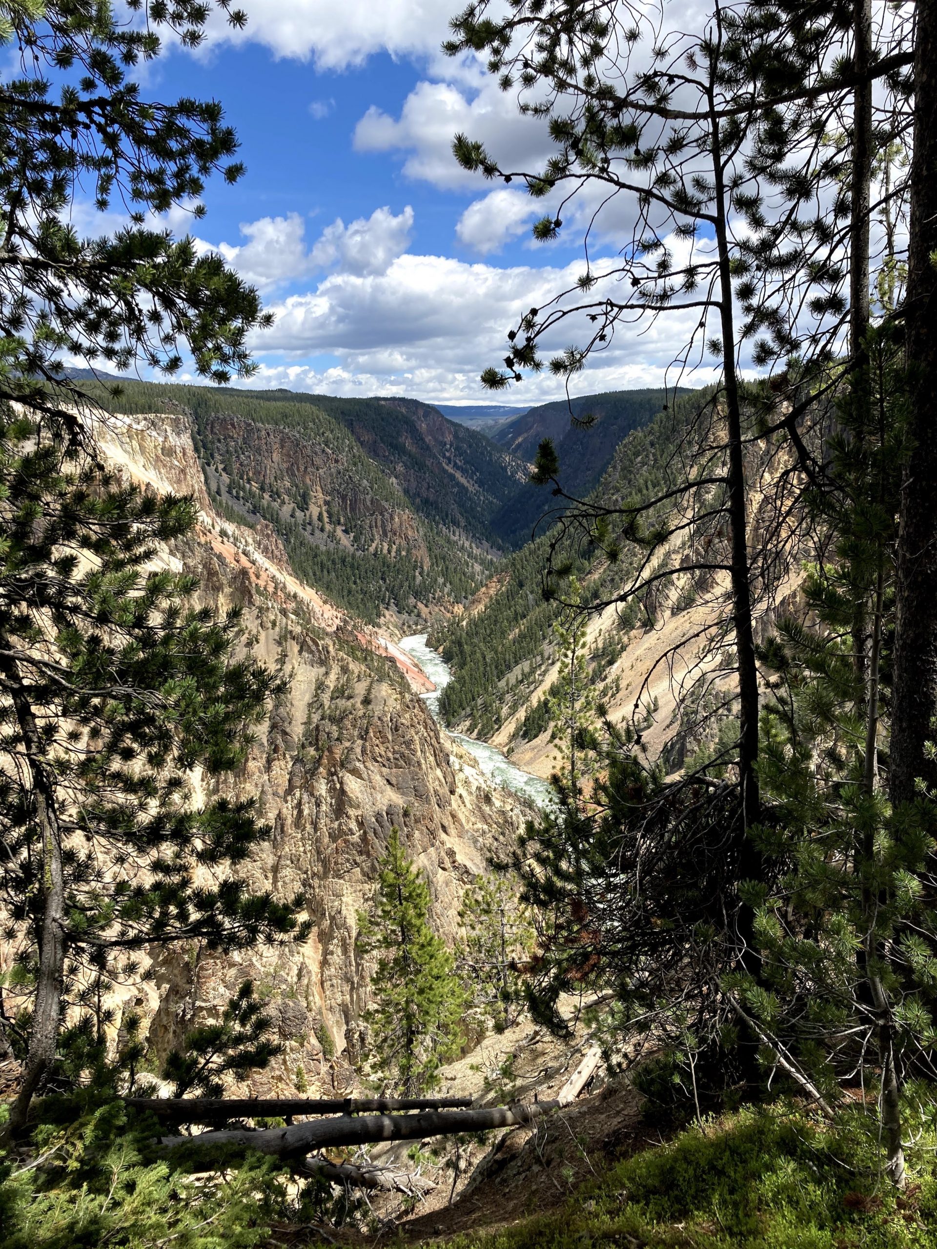 Lost in Yellowstone Courthouse News Service