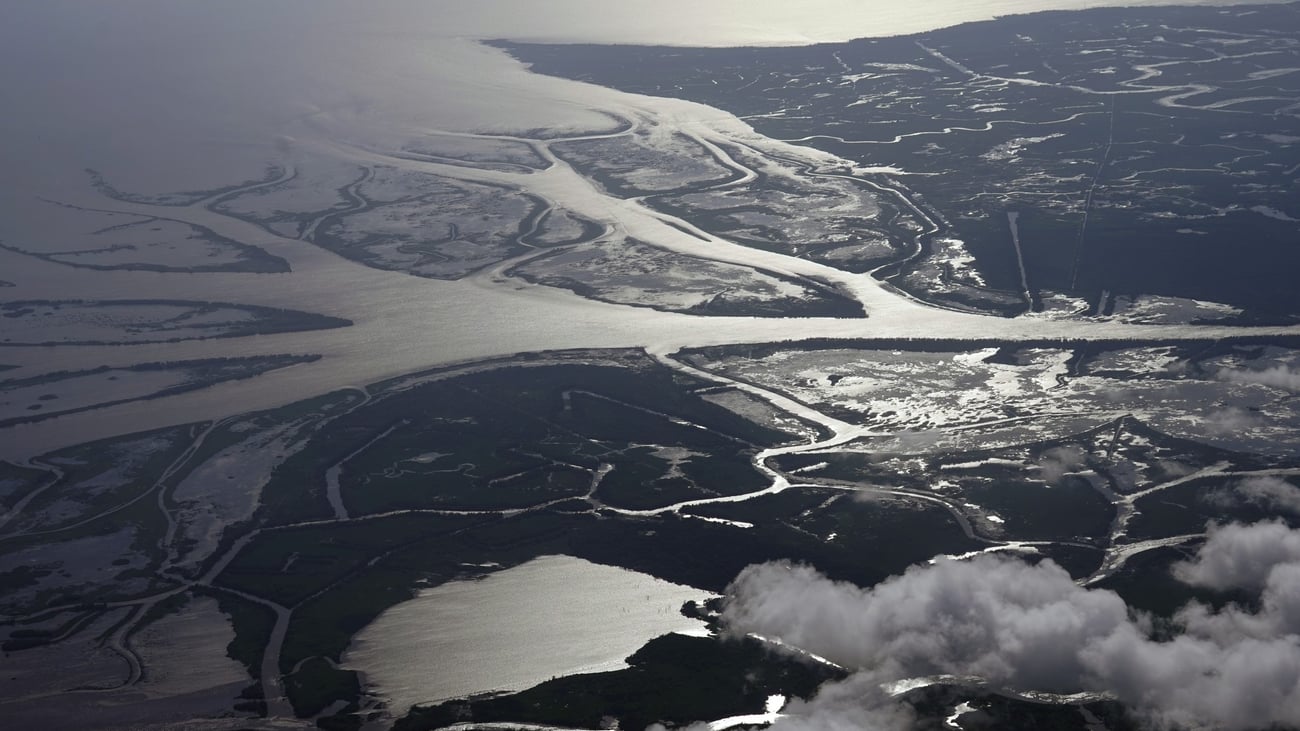 Judge yanks permit for Louisiana wetland project in victory for environmental groups
