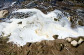 Foam from chemicals gathers at a dam in Michigan.