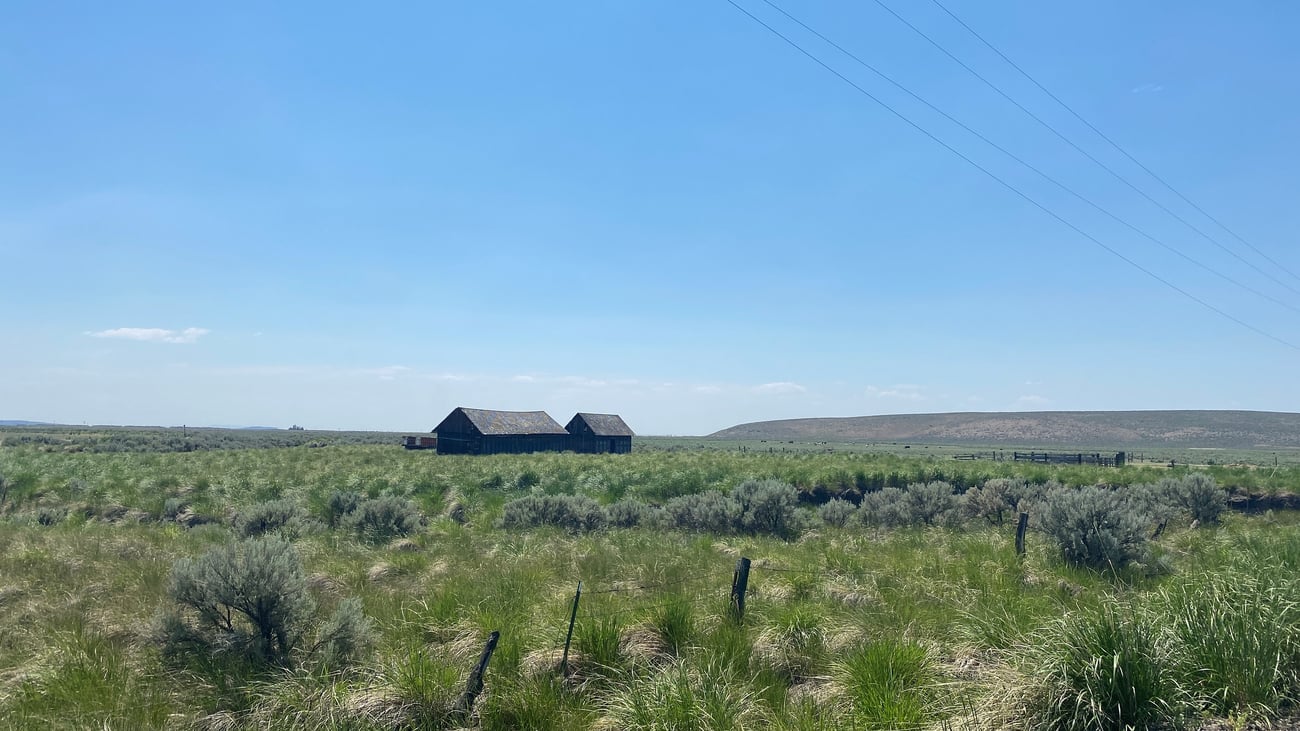 Judge leans toward conservationists in sage grouse dispute with feds