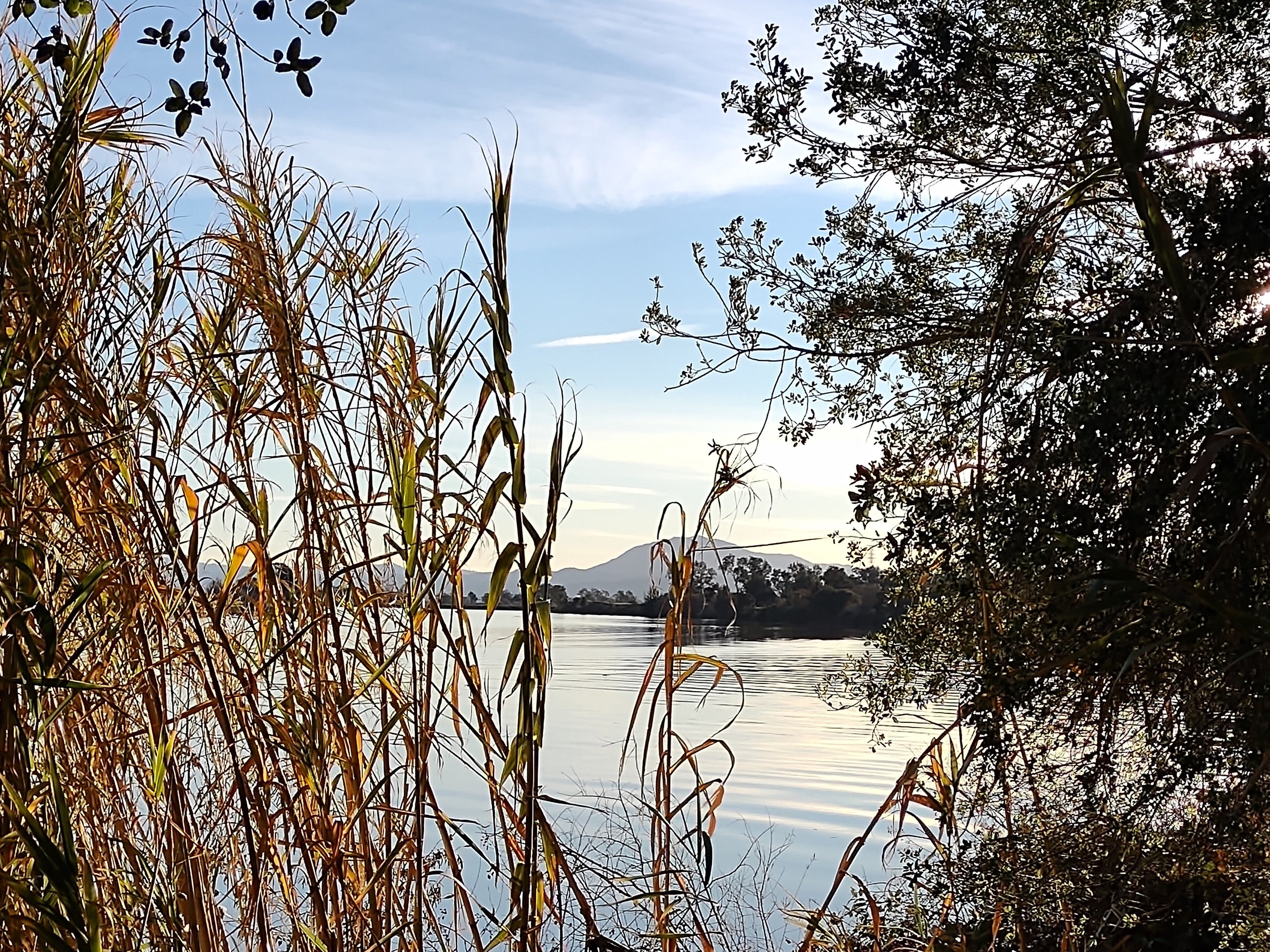 Critics rip ‘halfbaked’ federal plan to save California salmon