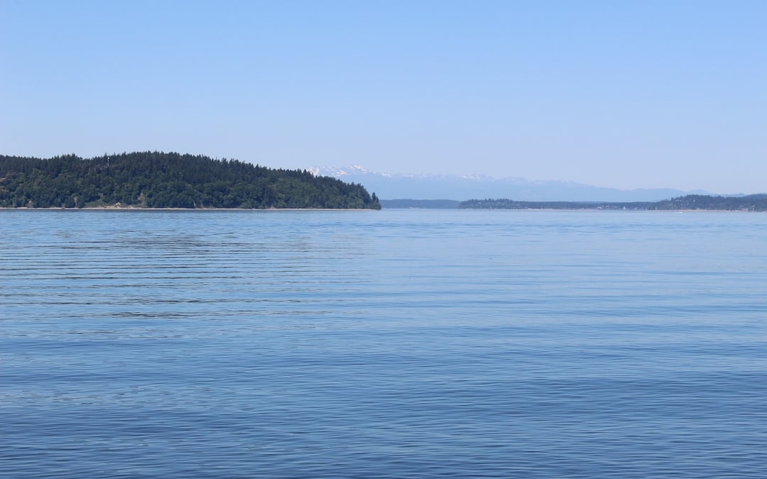 Washington state bans commercial finfish net pen farms