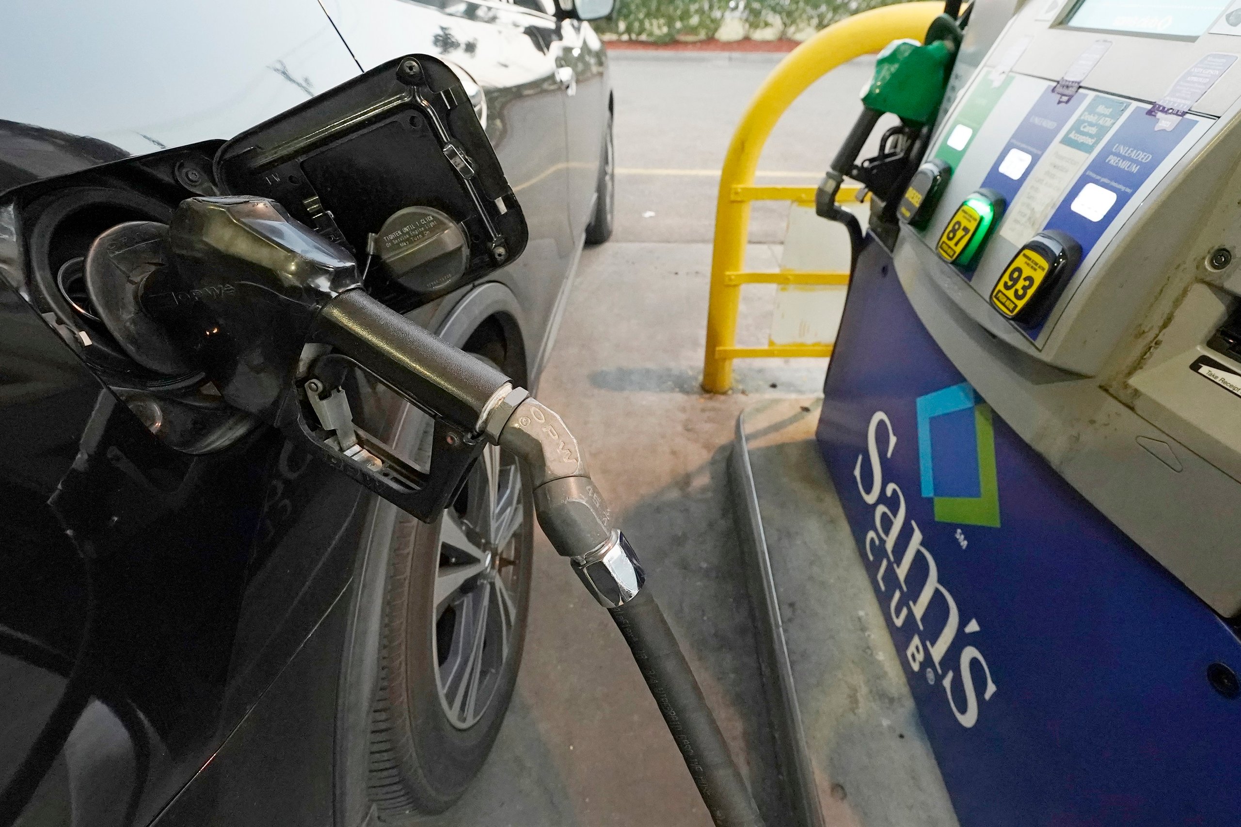 Fossil Fuel To Future Tech:  Unexpected Paleontology Applications - gz59j0r