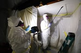 Asbestos removal procedure