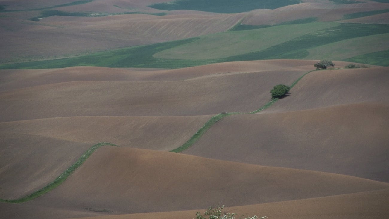 Fallowed Denmark decries EU decision to till fallow lands in face of food ...
