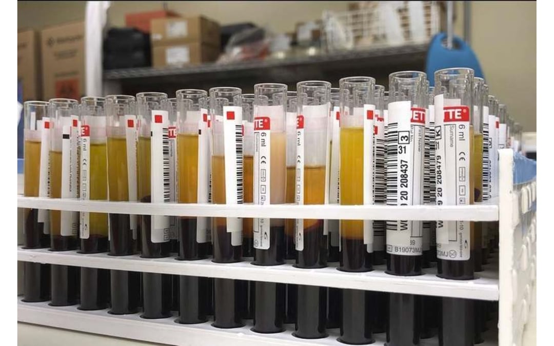 Arizona blood bank defends against consumer fraud accusations 