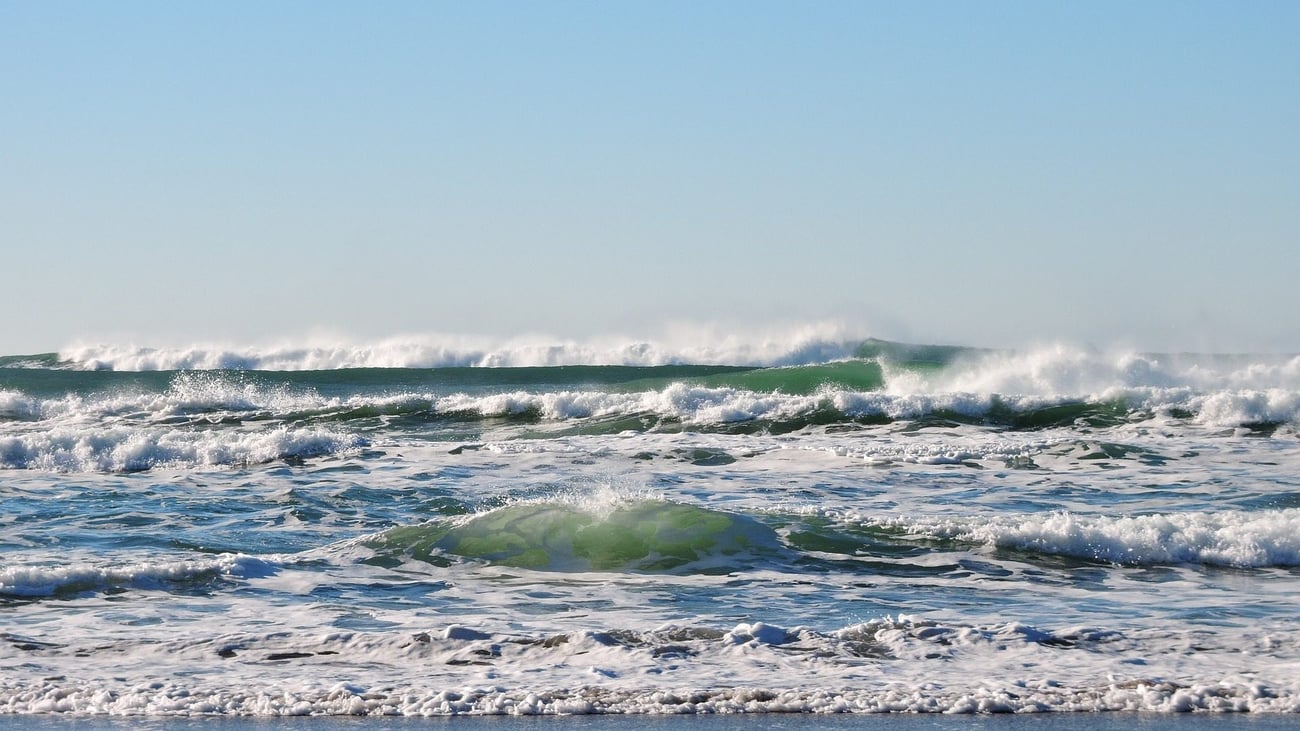 Global efforts to protect the ocean are falling significantly short