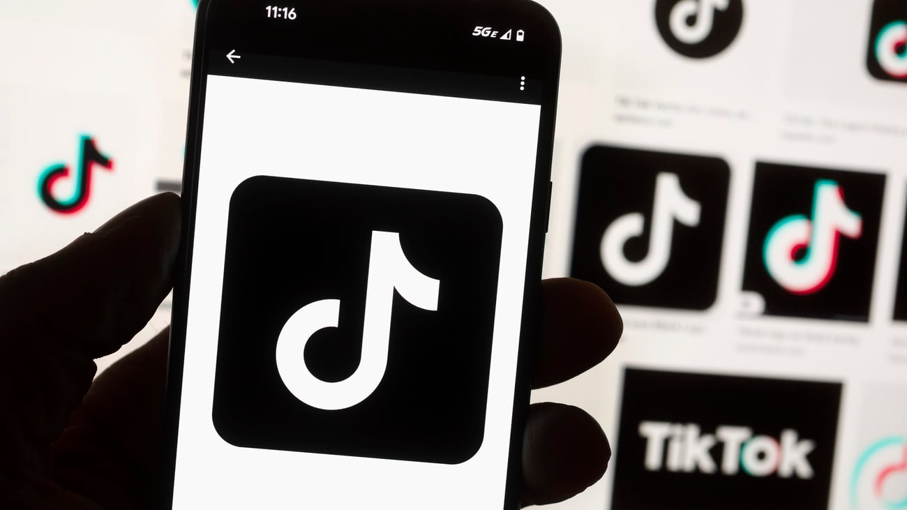 TikTok tells Europe’s top court it isn’t Big Tech royalty