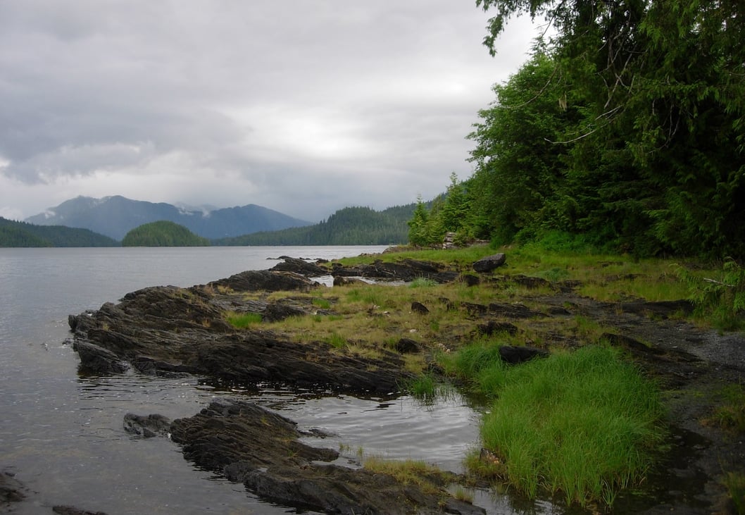 Alaska tribe sues feds to stop logging in Tongass National Forest ...