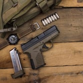 Concealed carry gun
