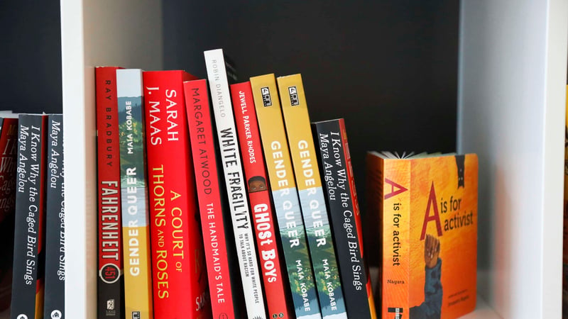 Twelve books on various subjects are displayed on a pair of shelves.
