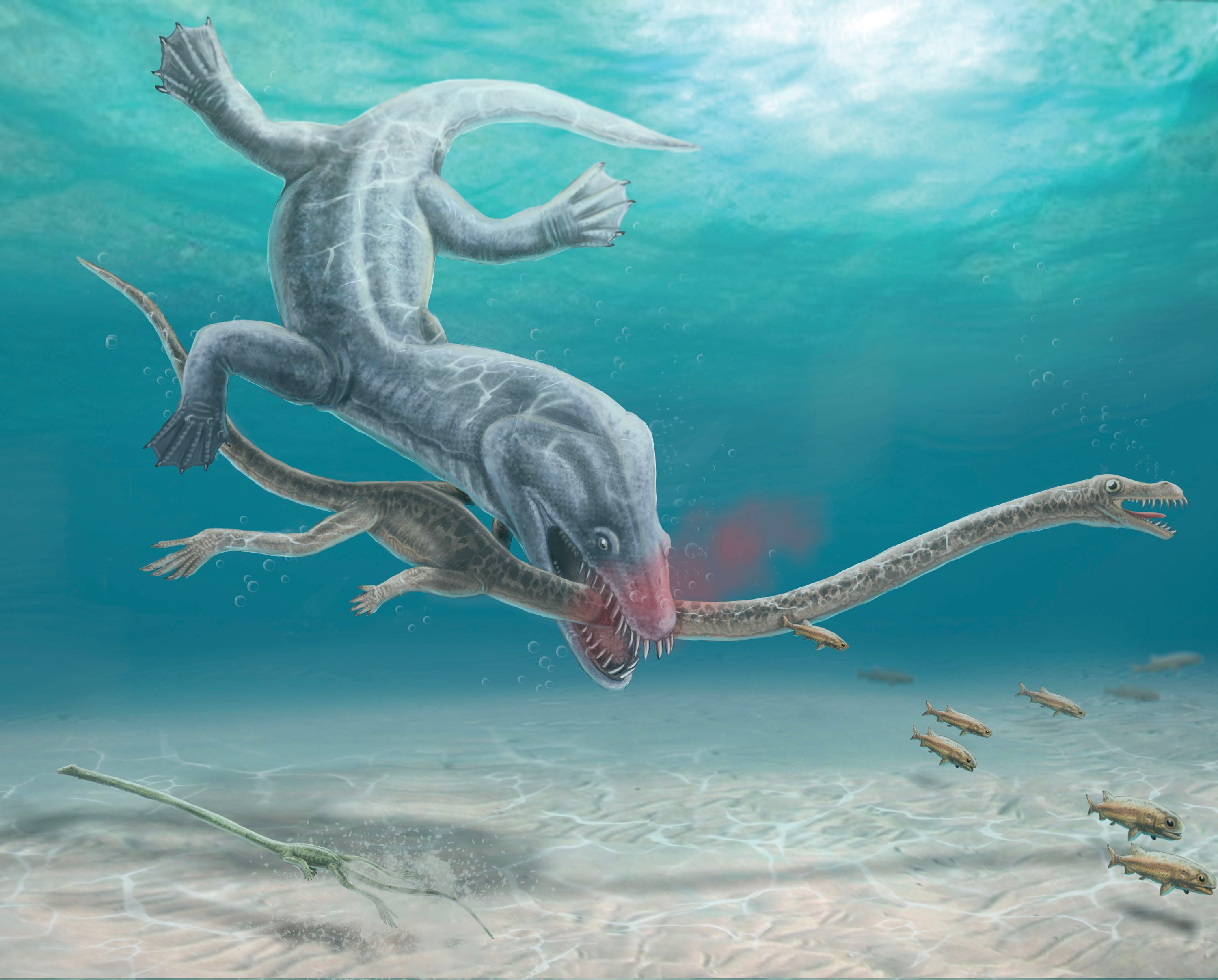 Fossil evidence reveals gruesome decapitation of longnecked reptiles Courthouse News Service