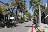 palm trees line Rodeo Drive