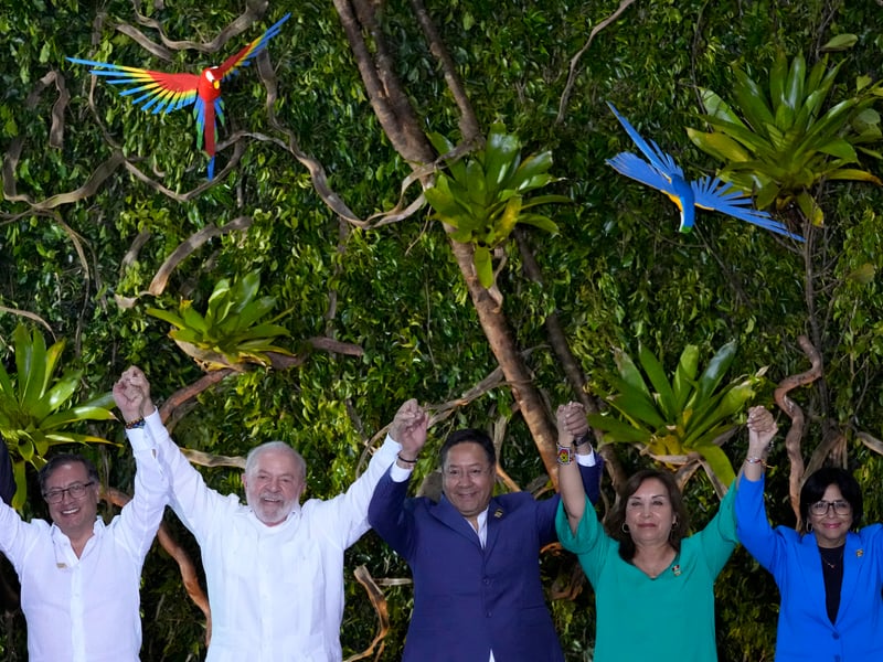 Brazil's Amazon Summit ends with a call to protect the world's ...