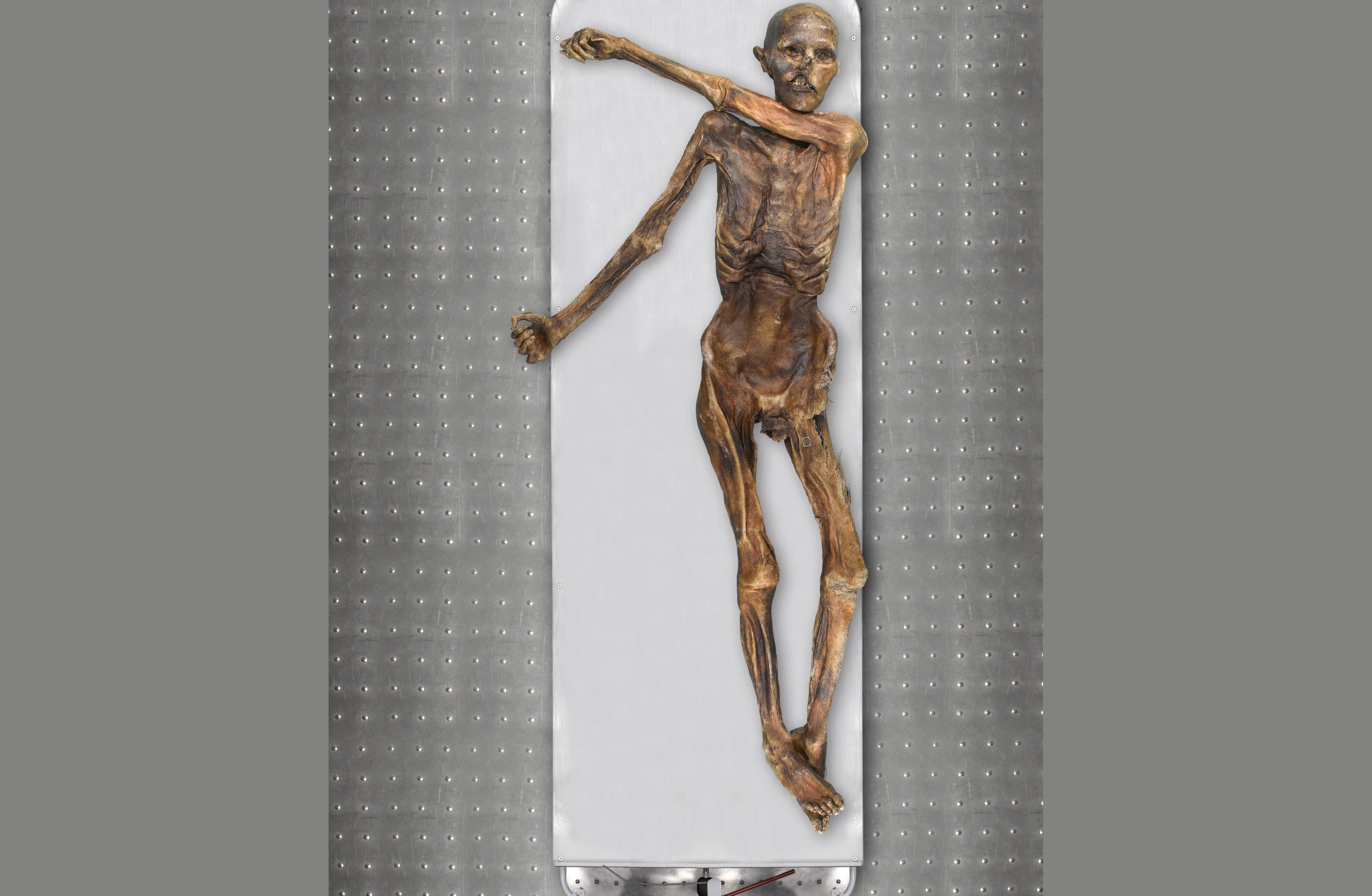 New genome analysis of 5,000-year-old mummy reveals a few