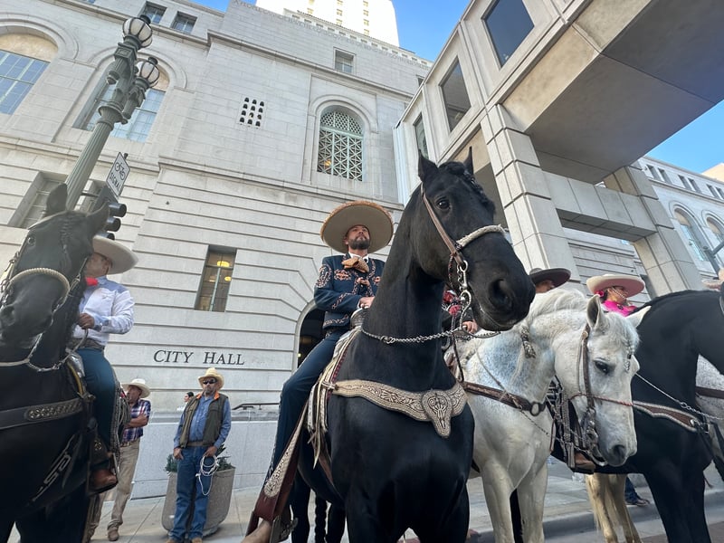 LA rodeos get last-minute reprieve as City Council sends proposed ban ...