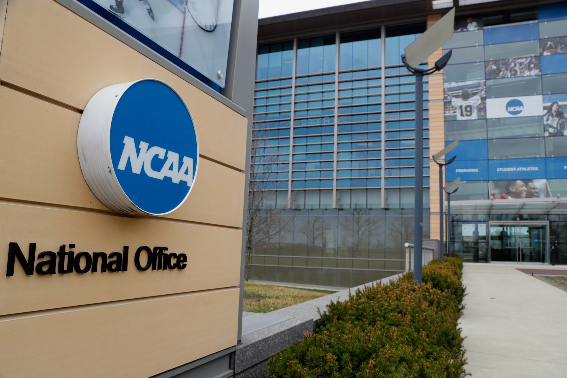 New York, Florida and DC join lawsuit against NCAA | Courthouse News Service
