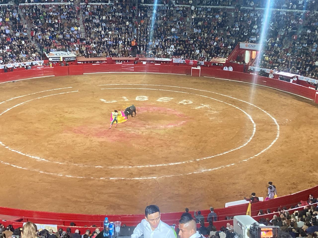 Judge reinstates ban on bullfights in Mexico City | Courthouse News Service