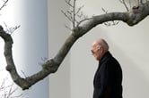 Joe Biden walks by a tree branch outside the White House.