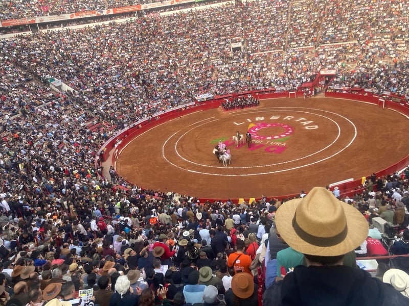 Bullfighting returns to Mexico's capital amid protest and adoration ...