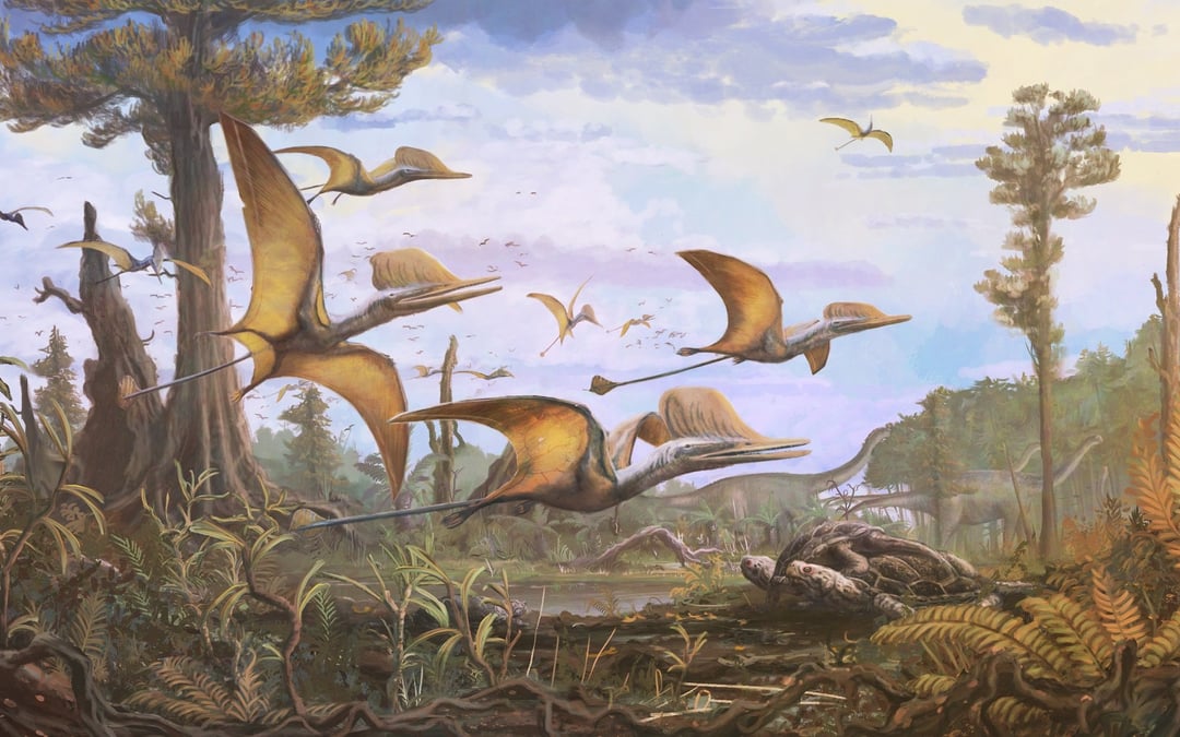 Rare find on Isle of Skye uncovers new information about pterosaurs