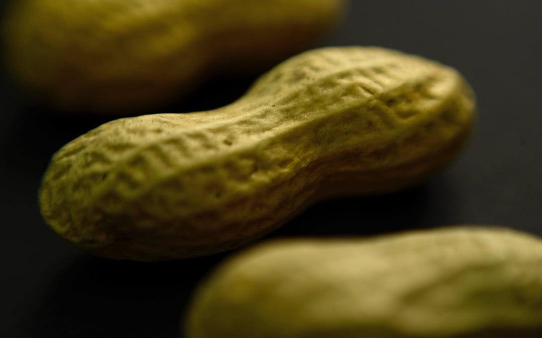 Advice to feed babies peanuts early and often helped thousands of kids avoid allergies