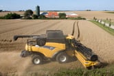 Denmark Wheat Harvest
