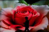 A man walks in front of a large screen with a rose displayed.