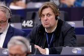 Maximilian Krah at the EU Parliament