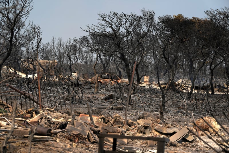 Burned trees, a car and debris.