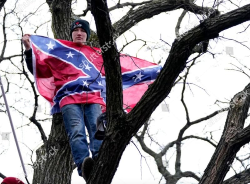 A man wearing an "I love Trump" beanie seen resting on a tree branch with a Confederate flag outside the U.S. Capitol.