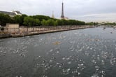 People swim in the River Seine during the Paris Triathlon.
