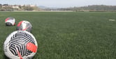 Soccer balls with black geometric designs with orange strips lay on a field of green grass