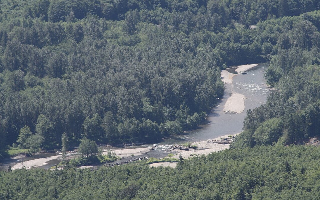 Washington Supreme Court finds tribe immune from land dispute suit